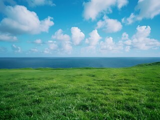 Obraz premium Green Grassy Field with Ocean and Clouds