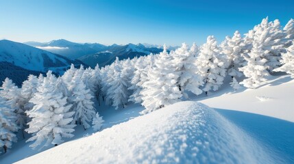 A captivating mountain landscape featuring snow-covered peaks and frosted pine trees, under a bright blue sky, embodying the majesty and vastness of winter wilderness.