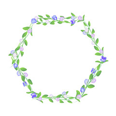 blooming butterfly pea flower rectangle frame background