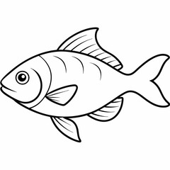 fish on white background