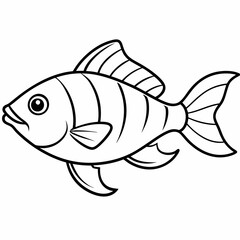 fish on white background