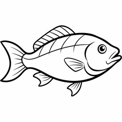 illustration of a fish