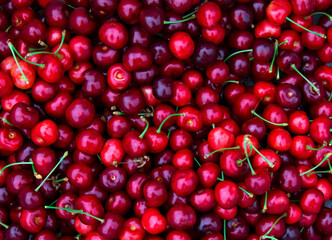 Ripe maroon cherries background.Top view.