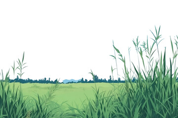 Fototapeta premium PNG Grass landscape grass backgrounds.