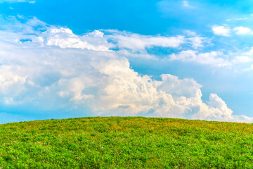 Obraz premium 푸른언덕