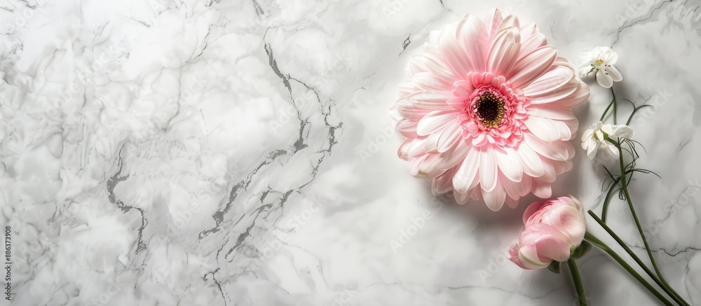 Fototapete a fresh pink flower in bloom during spring against a backdrop of white marble with ample copy space 