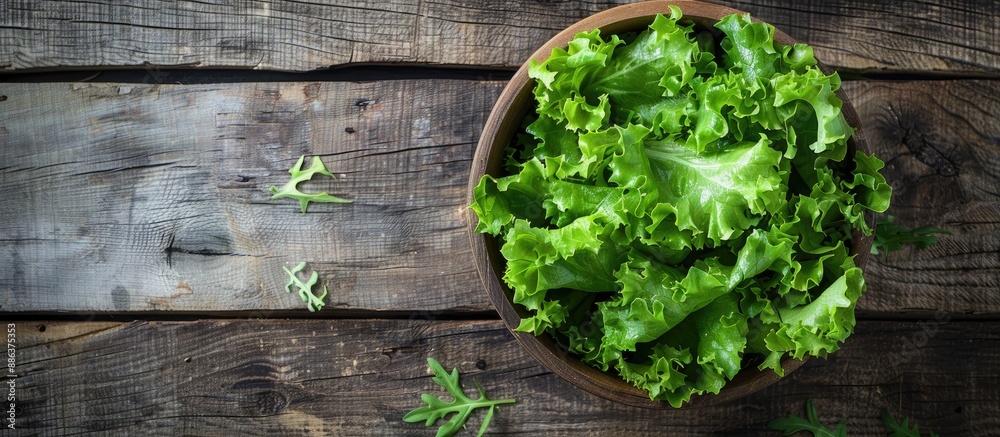 Poster top down view of a fresh green lettuce salad on a rustic wooden table ideal for text placement healt