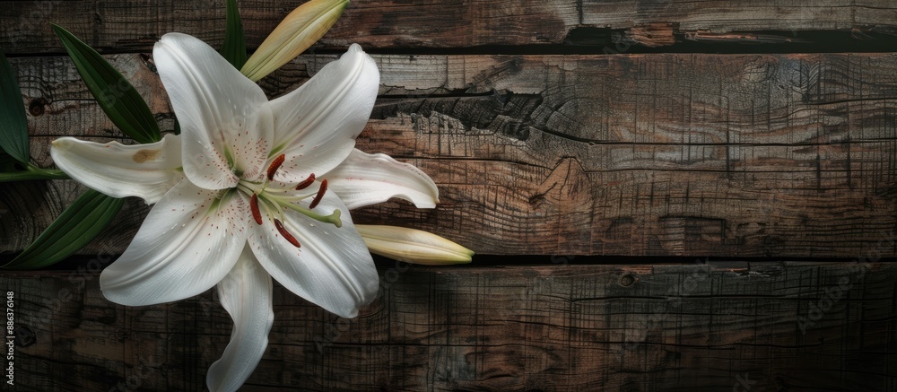 Aufkleber A beautiful lily flower against a rustic wooden backdrop with copy space image