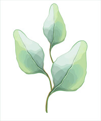 Hand drawn leaves on a transparent background. Vector watercolor typography poster, art, postcard, logo and emblem