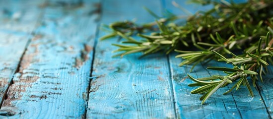 Obraz premium Rosemary displayed on a rustic blue wooden table background, perfect for cooking-related themes due to the ample copy space image.
