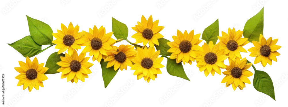 Wall mural PNG Sunflower plant petal daisy.