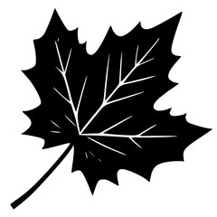 Fototapeta premium maple leaf icon