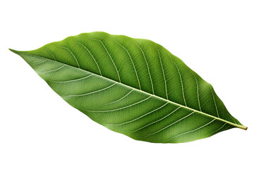 Obraz premium A Modern Kitchen Sink With A Gleaming Stainless Steel Basin And A Wooden Cutting Board on a White or Clear Surface PNG Transparent Background