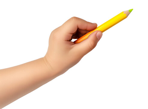 child hand holding a colorful crayon isolated cut out, cute kid hand