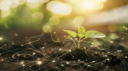 young plant emerging from soil, surrounded by digital data points and connections, with green energy waves and solar panels in the background, emphasizing the harmony of nature and technology