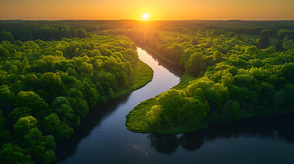High-angle shot of a lush green forest with a winding river cutting through, the sunlight filtering through the trees and creating a serene, peaceful atmosphere 