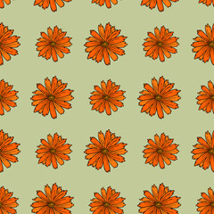 Seamless pattern of marigold flowers on green background.eps