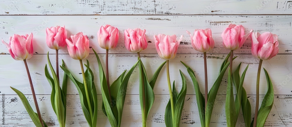Aufkleber Pink tulips displayed on a rustic white table with ample copy space for adding text
