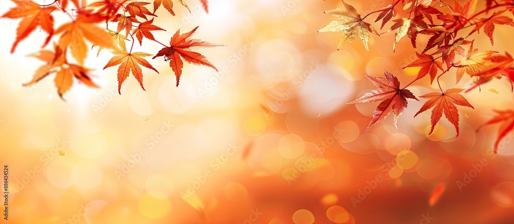 Poster Maple tree leaves in vivid autumn hues with a blurred fall background offering copy space for text ideal for holiday themes Depicting the essence of fall and autumn season