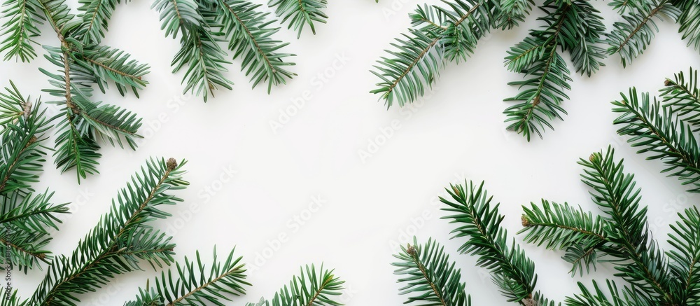 Fototapete Top view of green fir branches creating a Christmas background on a white backdrop with a frame and copy space image