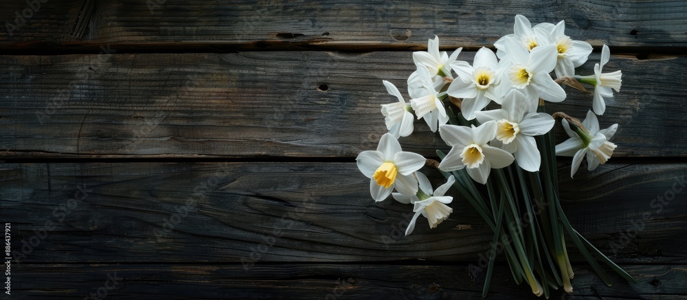 Poster White daffodils are beautifully arranged on a dark wooden backdrop creating a perfect copy space image for text placement