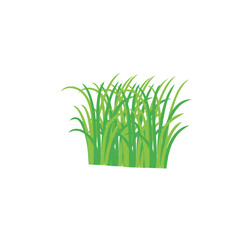 Grass doodle sketch style. Hand drawn green grass field outline scribble background. Sprout, flower, clover elements. Vector illustration.