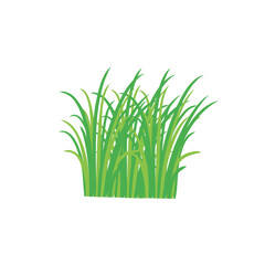 Grass doodle sketch style. Hand drawn green grass field outline scribble background. Sprout, flower, clover elements. Vector illustration.