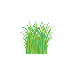 Grass doodle sketch style. Hand drawn green grass field outline scribble background. Sprout, flower, clover elements. Vector illustration.