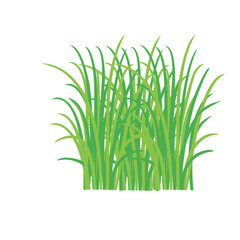 Grass doodle sketch style. Hand drawn green grass field outline scribble background. Sprout, flower, clover elements. Vector illustration.