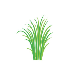 Grass doodle sketch style. Hand drawn green grass field outline scribble background. Sprout, flower, clover elements. Vector illustration.