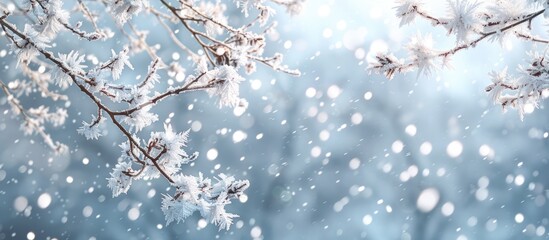 Snow covered branches adorned with hoarfrost create a serene winter scene with gentle snowflakes falling on a blurred background perfect as a winter themed copy space image