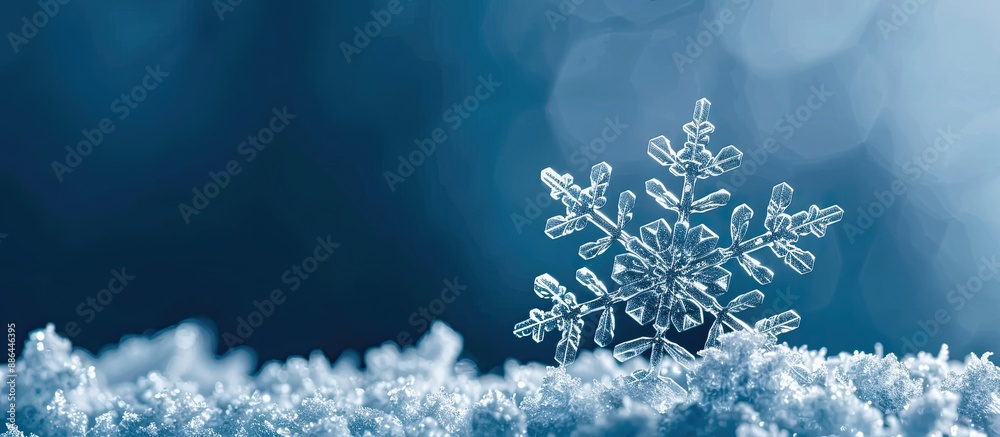 Poster Close up of a winter snowflake against a monochrome blue background with selective focus creating a banner like copy space image