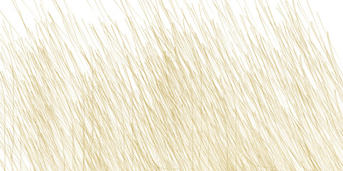 Abstract background with lines. Golden lines on White paper. Line wavy abstract vector background. Golden lines on White paper.  Random chaotic lines abstract geometric pattern vector background. 