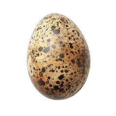 Obraz premium Top view of a single snipe egg isolated on a white transparent background