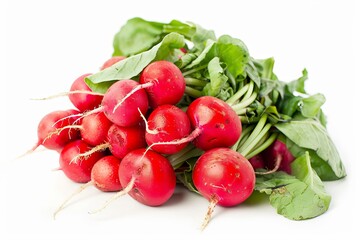 Freshly harvested red radishes with green tops on white background