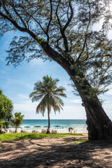 Obraz premium Vacation in tropical countries. Beach chairs, umbrella and palms on Patong beach Thailand