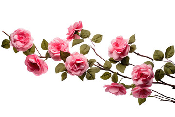 Fototapeta premium A Delicate Branch of Pink Roses on a White or Clear Surface PNG Transparent Background