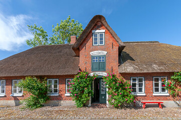 Traditionelles Friesenhaus mit Backsteinfassade, Reetdach und Rosenranken auf der Nordseeinsel Föhr