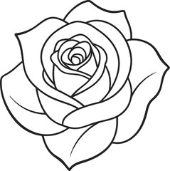 White and black  Vector Rose