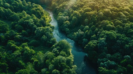Fototapeta premium Aerial View of a Winding River Through Lush Green Forest