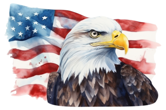 PNG Flag bird patriotism election.