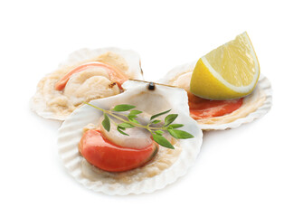 Scallops in shells, lemon and thyme on white background