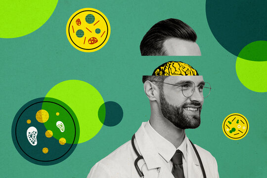 Composite photo collage of happy doctor cut head brain organ microbiology research covid illness discover isolated on painted background