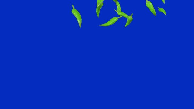green chilli flying in the air isolated blue screen