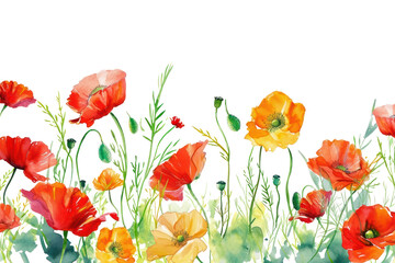 Fototapeta premium PNG Poppy backgrounds flower nature.
