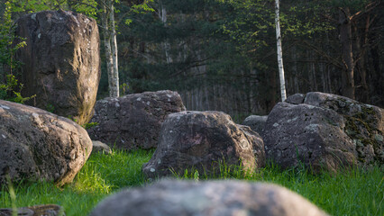Huge boulders lie in the forest park of stones