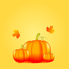 Autumn background with pumpkins and leaves. Thanksgiving background.