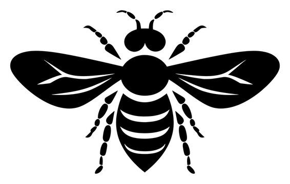 PNG Fly logo icon insect animal black.