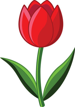 red tulip flower with green leaves clip art preview
