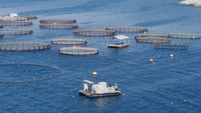 The crystal clear blue and turquoise Mediterranean Sea in which there are hatchery, boxes for sea fish.